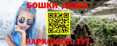 Альфа ПВП Дубна