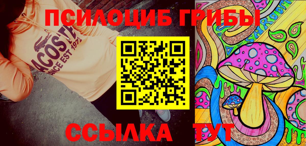 Псилоцибиновые грибы Cubensis Мичуринск