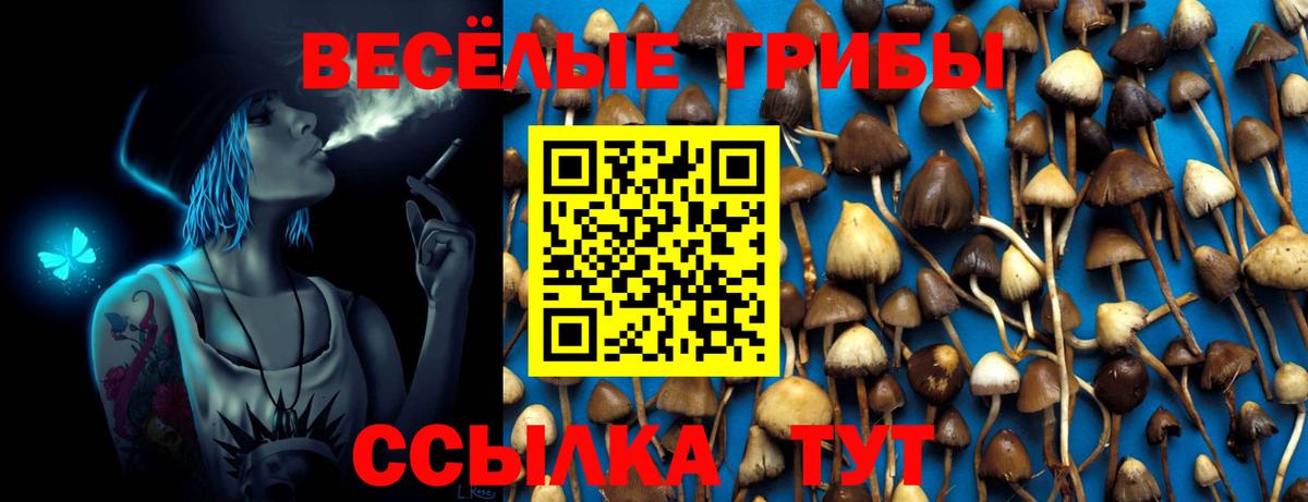 Мичуринск  Псилоцибиновые грибы MAGIC MUSHROOMS  Вход с VPN  Галлюциногенные грибы GOLDEN TEACHER 